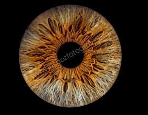 Dijital Göz Fotoğrafları