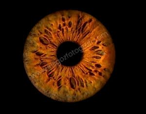 Dijital Göz Fotoğrafları