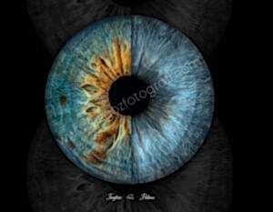 Dijital Göz Fotoğrafları