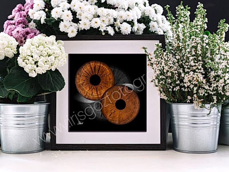 masaüstü göz tabloları