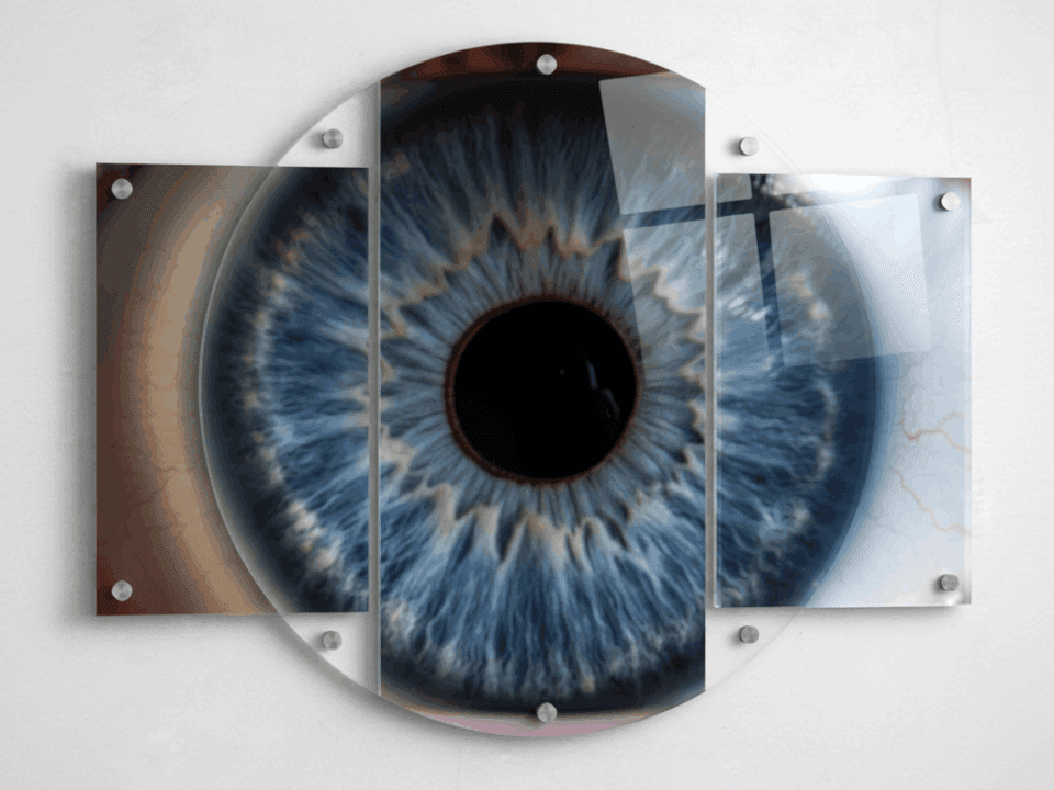 İris Göz Fotoğrafı